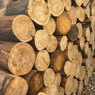 Firewood Stump logs Single