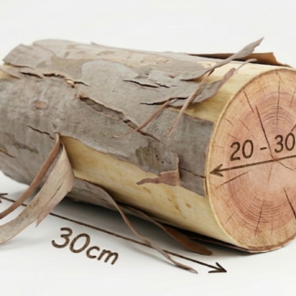 Firewood Stumps Single