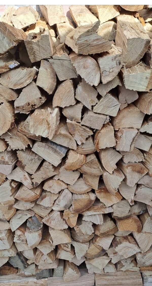 Bluegum Firewood Self Collect per Piece