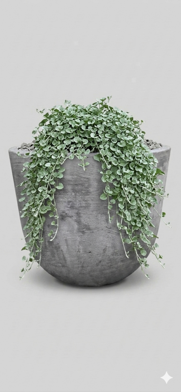 1000538760.png Studio Bullet Planter