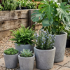 Studio Round Tapered Pot