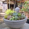 1000629450.jpg Classic Single-Rim Low Bowl