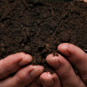 1000641082.png Compost Cube Delivery. Premium Grade. (R2400 for 2 cubes)