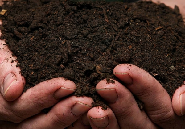 1000641082.png Compost Cube Delivery. Premium Grade. (R2400 for 2 cubes)