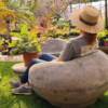 Bubble Chairs