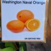 Washington Navel Orange