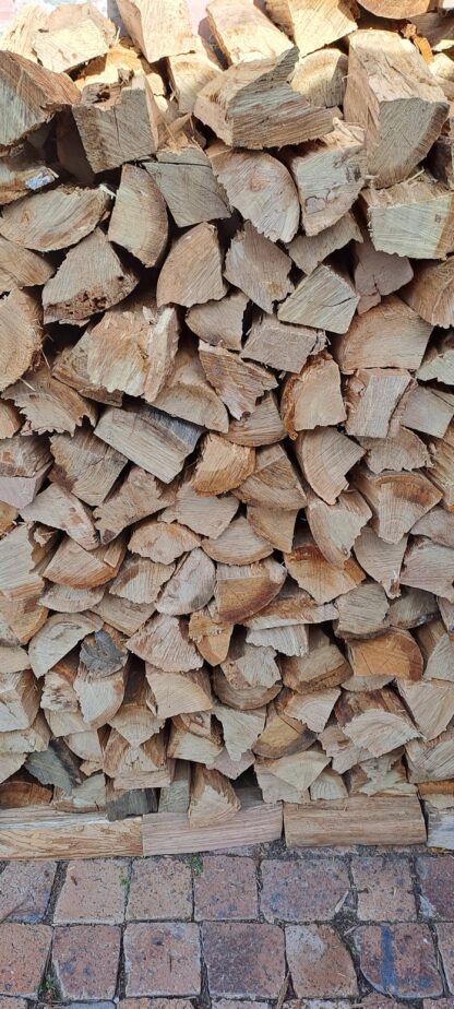 Bluegum wood 100pc self collect