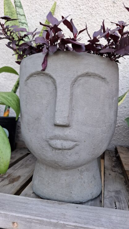 Cement Pot Face - Image 2